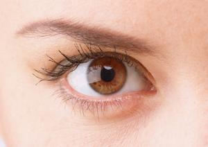 エステサロン向けのセミナーが人気