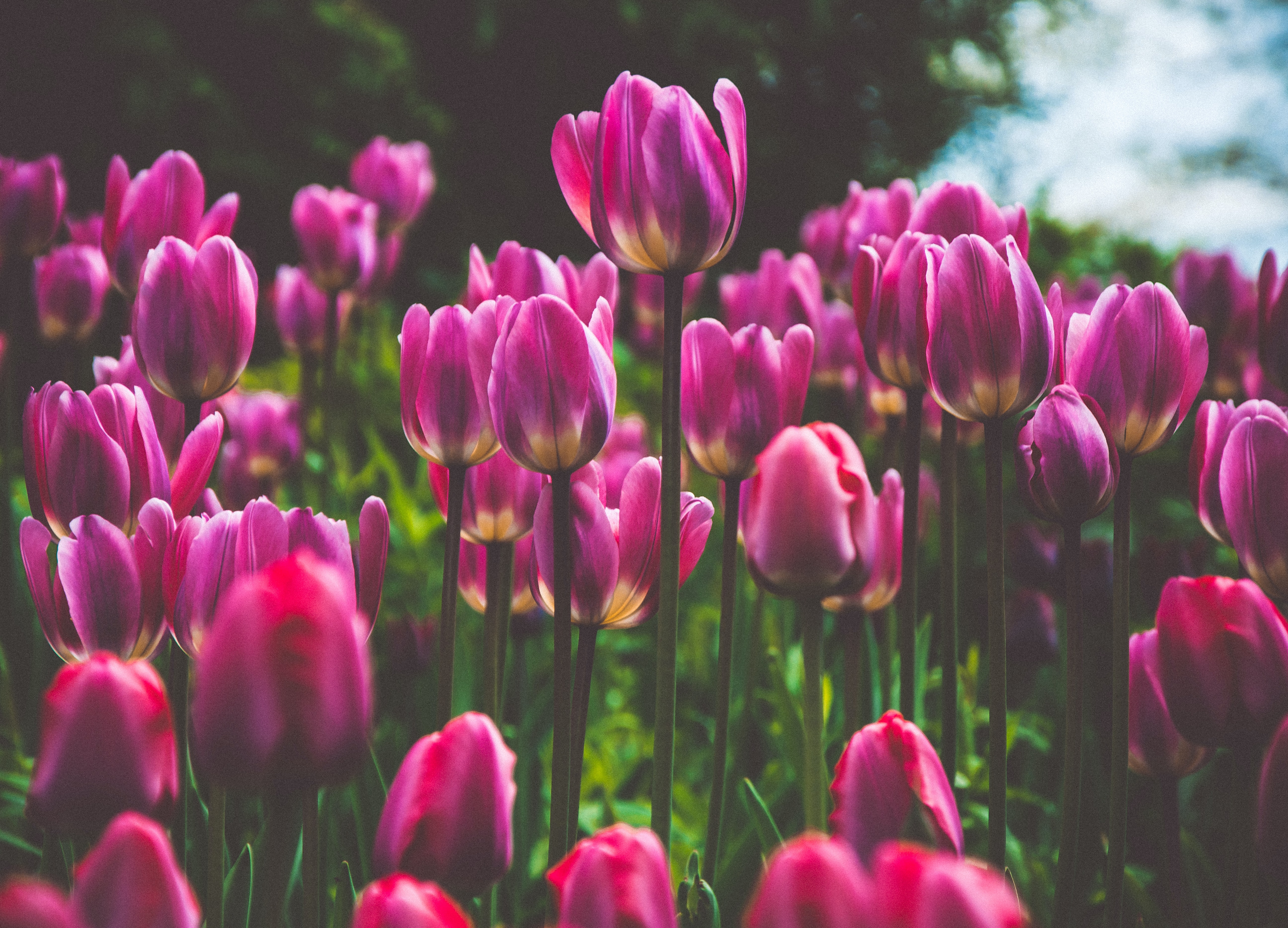 仕事帰りにサロンによろう!